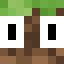 ServerIcon