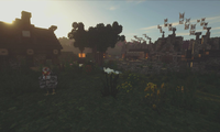 serverImage