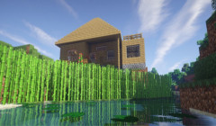 serverImage
