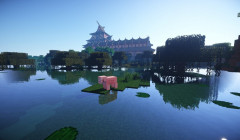 serverImage