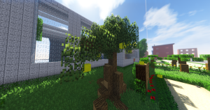 serverImage