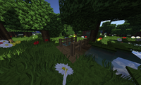 serverImage