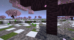 serverImage