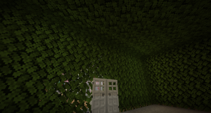 serverImage