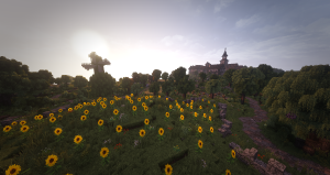 serverImage