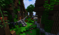 serverImage