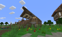 serverImage