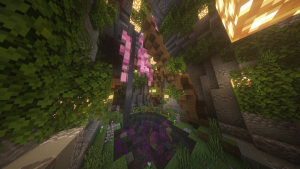 serverImage