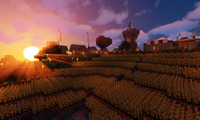 serverImage