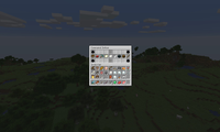 serverImage