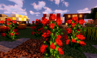 serverImage
