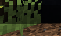 serverImage