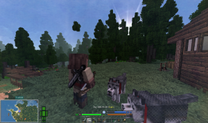 serverImage