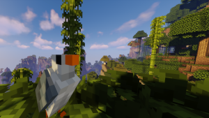 serverImage
