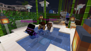 serverImage