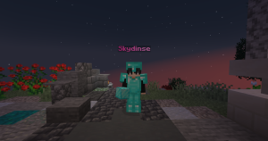 serverImage