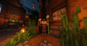 serverImage