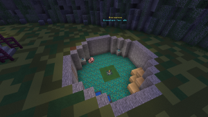 serverImage