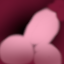 ServerIcon