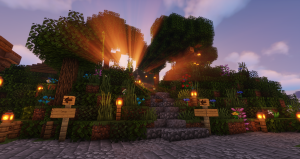 serverImage