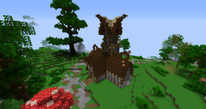 serverImage
