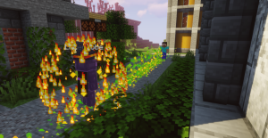 serverImage
