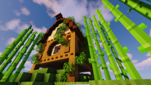 serverImage