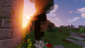 serverImage
