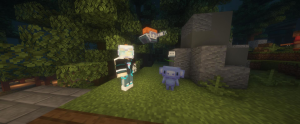 serverImage