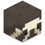 ServerIcon