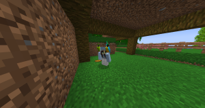 serverImage