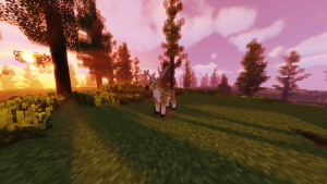 serverImage