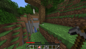 serverImage