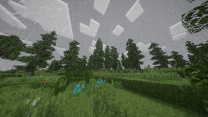 serverImage