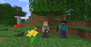 serverImage