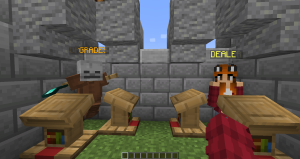 serverImage
