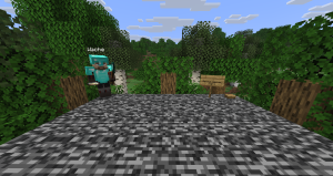 serverImage