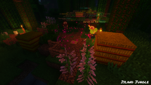 serverImage