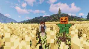 serverImage