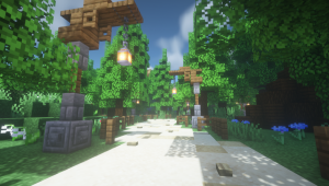serverImage