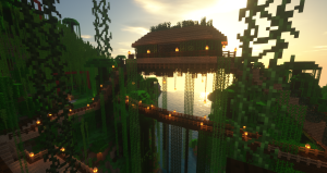 serverImage