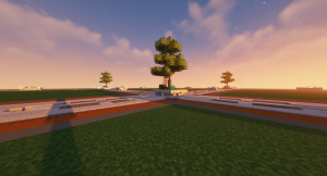serverImage