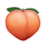 ServerIcon