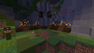 serverImage