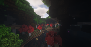 serverImage