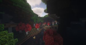 serverImage