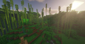 serverImage
