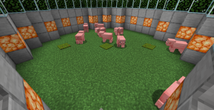serverImage