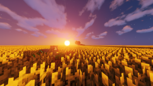 serverImage