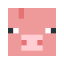 ServerIcon